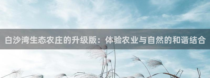 琳琅娱乐直播