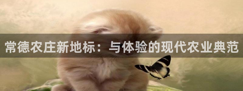 琳琅娱乐平台怎么样知乎