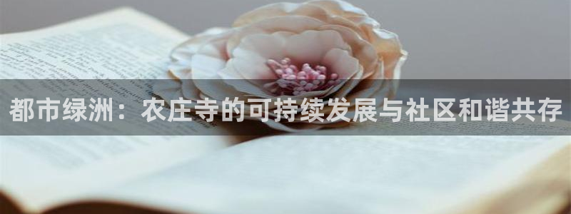琳琅科技娱乐机器人