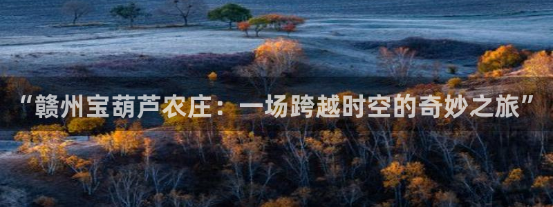 青娱娱乐琳琅导航