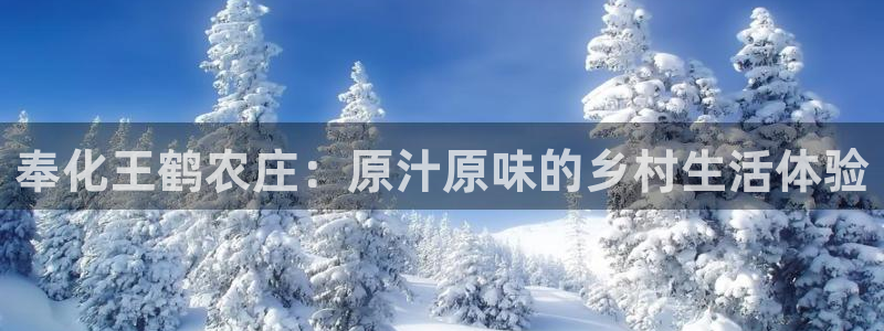 琳琅娱乐天美2