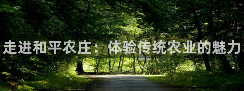 琳琅娱乐装7O777