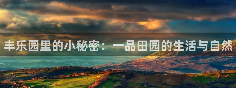 琳琅娱乐领先33300