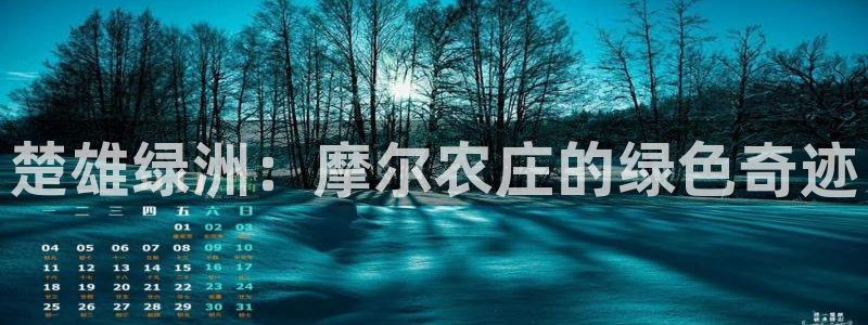 琳琅作者娱乐圈女主