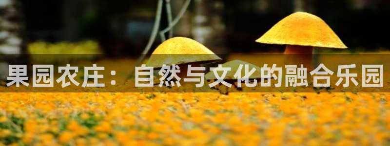 琳琅科技娱乐QQ机器人