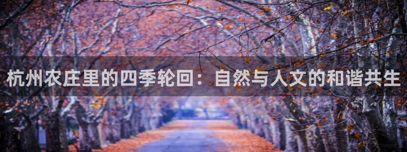 琳琅娱乐 全麦优质