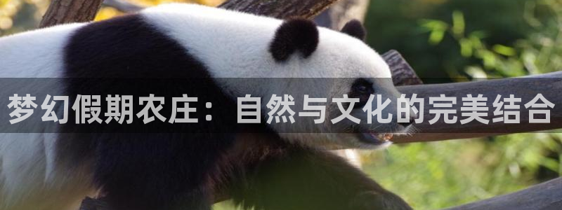 娱乐从琳琅榜开始笔趣阁