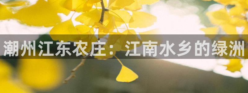 琳琅娱乐工作室