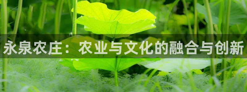 琳琅国际娱乐会所