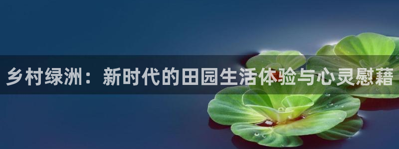 琳琅作者娱乐圈女主