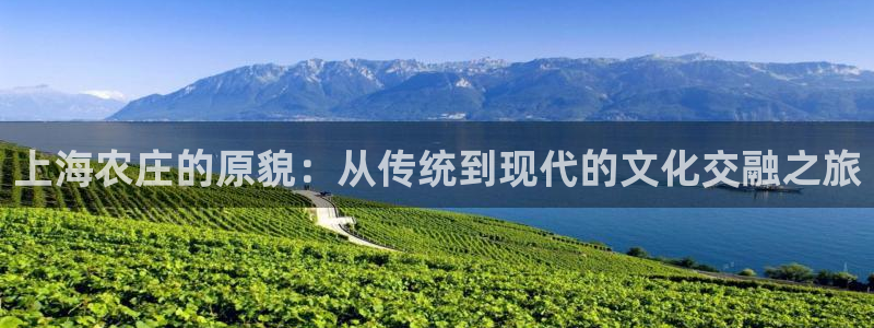 琳琅娱乐怎么样知乎