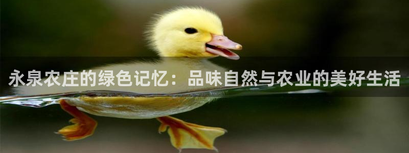 琳琅娱乐场所