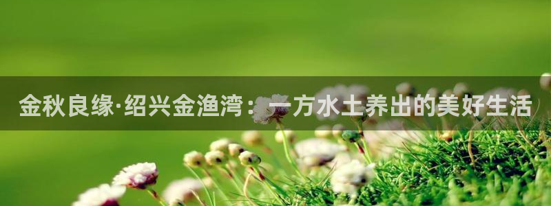 琳琅娱乐代理怎么样