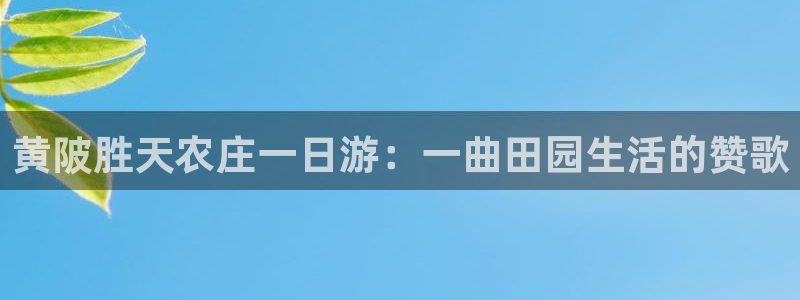 琳琅娱乐信誉33300