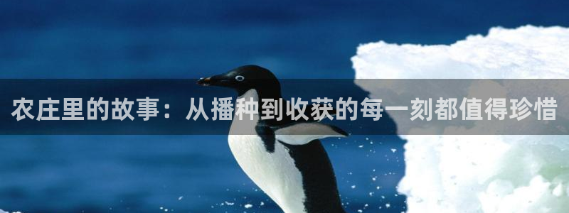 琳琅满目的娱乐设施