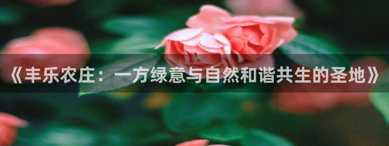 琳琅娱乐是什么