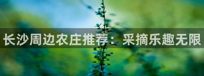 琳琅科技娱乐QQ机器人