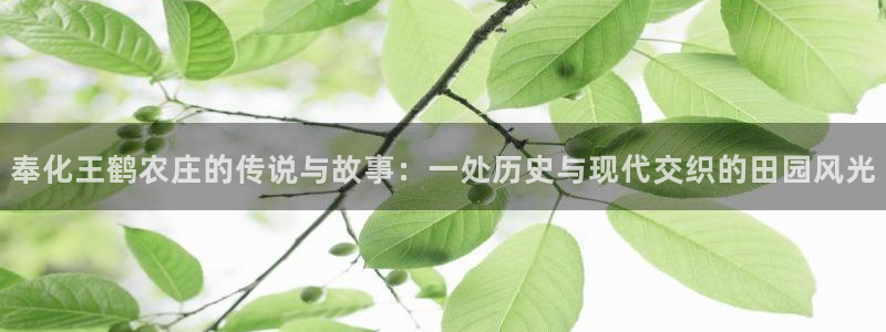 琳琅娱乐周7O777