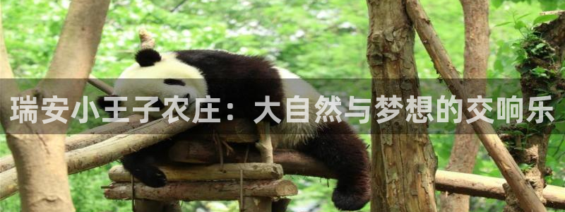 琳琅娱乐平台登陆