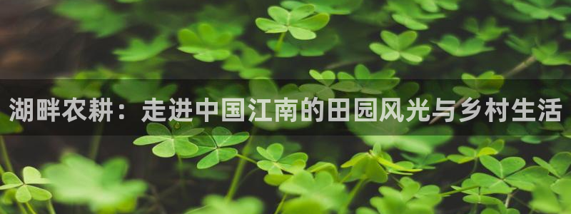 琳琅娱乐m