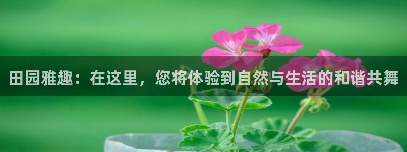 琳琅娱乐