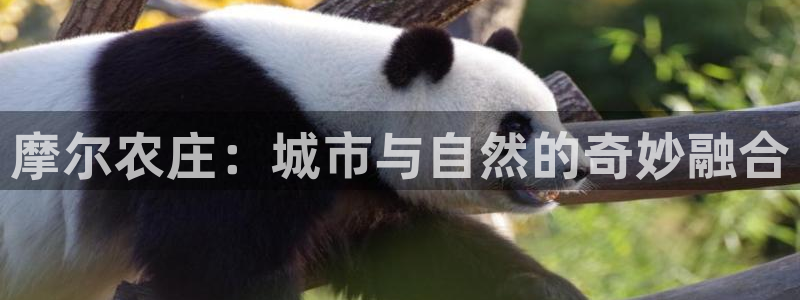 琳琅娱乐天美2