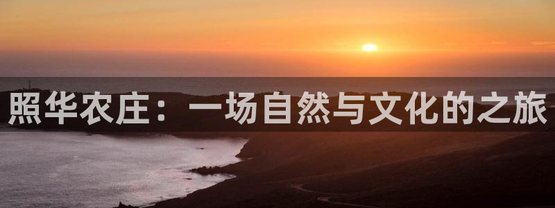 琳琅社区综艺文化娱乐