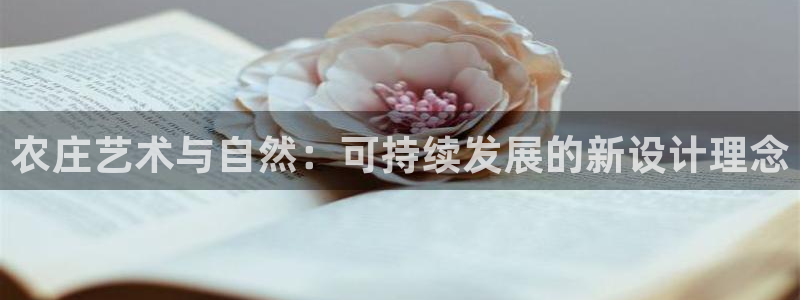 娱乐从琳琅榜开始的小说