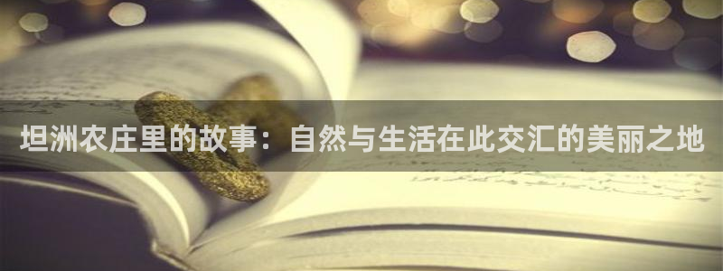 琳琅娱乐总代