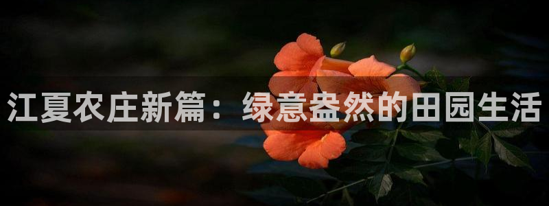 琳琅娱乐八卦