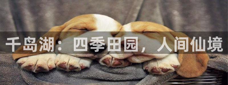 琳琅娱乐组飞车
