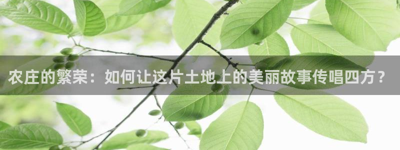 琳琅娱乐工作室招聘