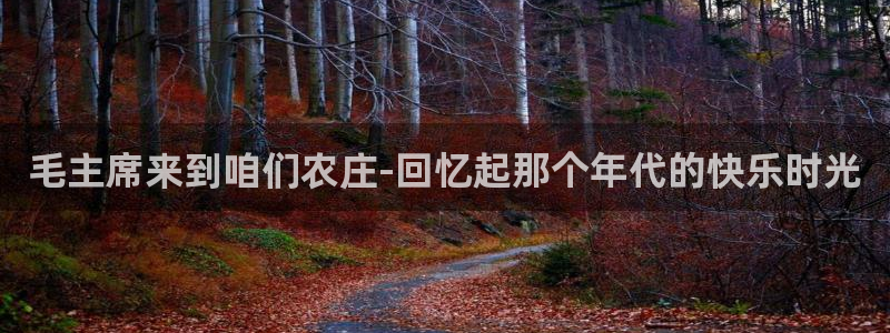 琳琅娱乐平台登陆