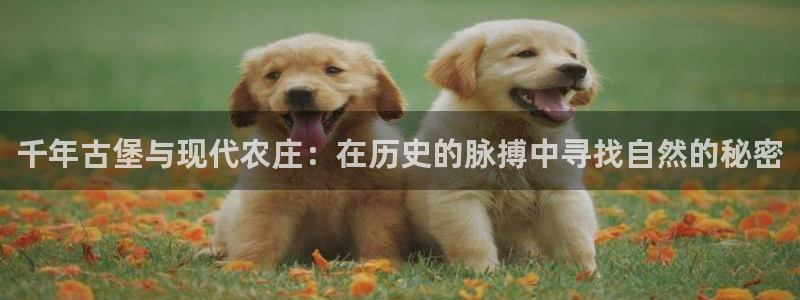 琅琳琅娱乐社区