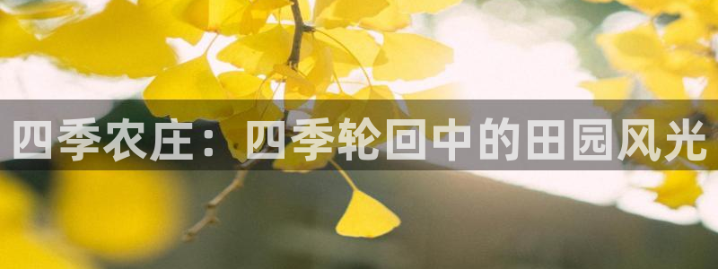 琳琅娱乐工作室招聘电话