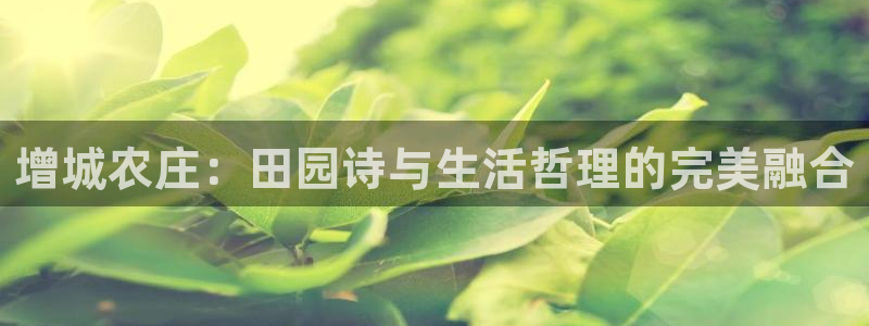 琳琅娱乐注册登录官网