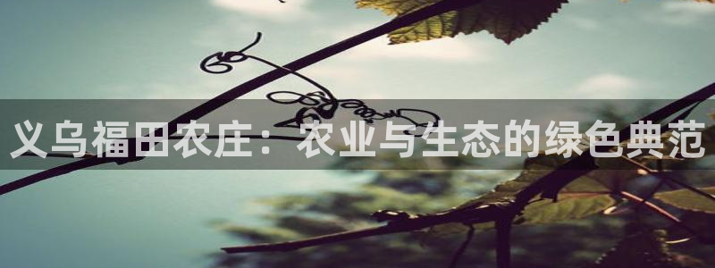 琳琅娱乐代理怎么做