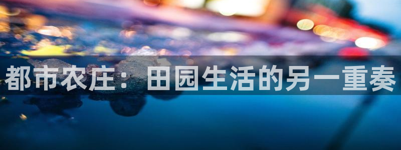 琳琅科技娱乐机器人插件