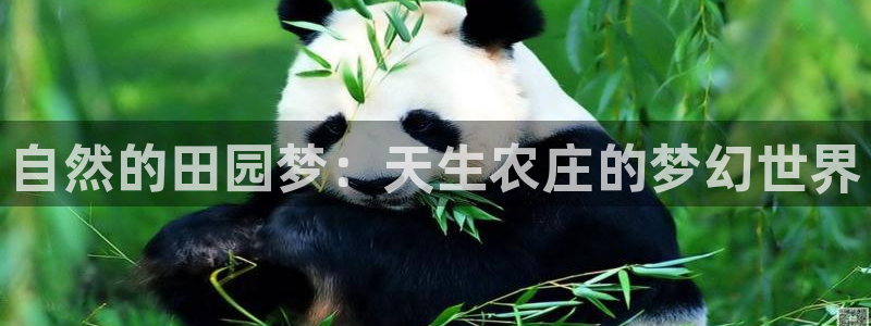 琳琅娱乐免费线上观看