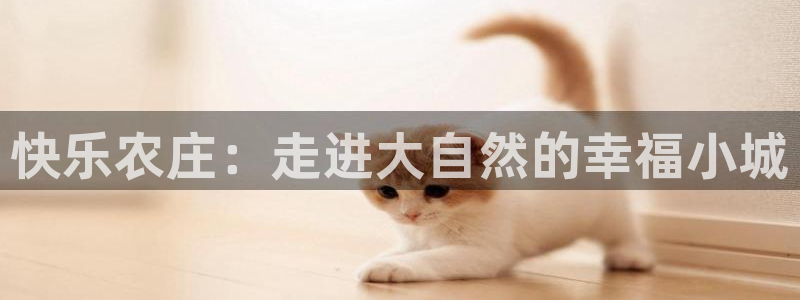 娱乐从琳琅榜开始的小说