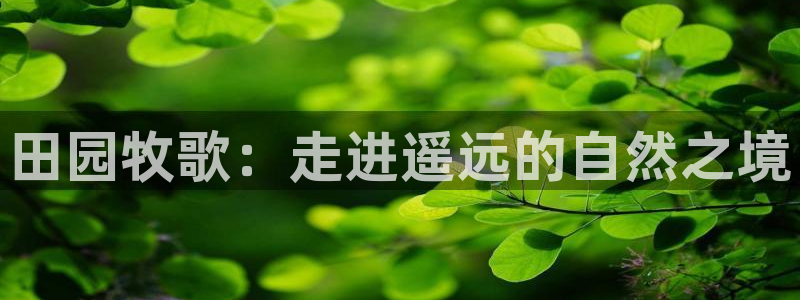 琳琅娱乐平台是真的吗