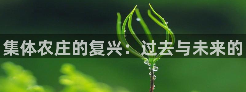 琳琅娱乐前7O777