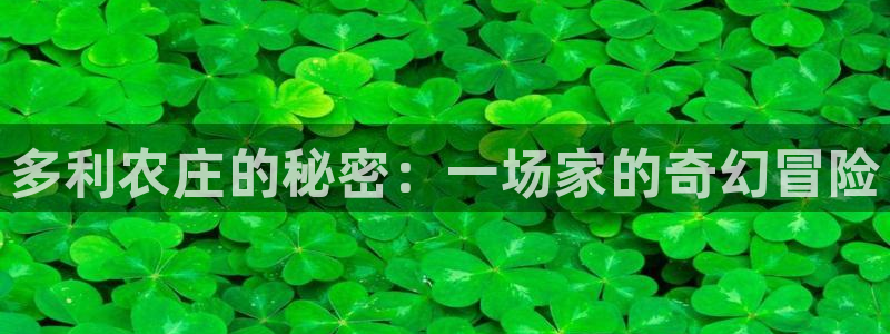 琳琅社区综艺文化娱乐