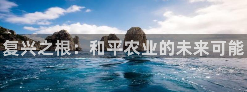 琳琅科技娱乐机器人