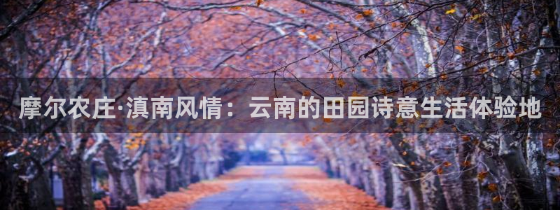 琳琅娱乐机器人