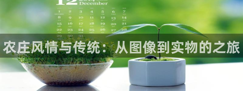 琳琅娱乐平台登陆