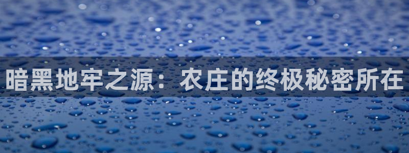 琅琳琅娱乐社区