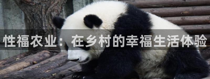 琳琅娱乐注册资金多少