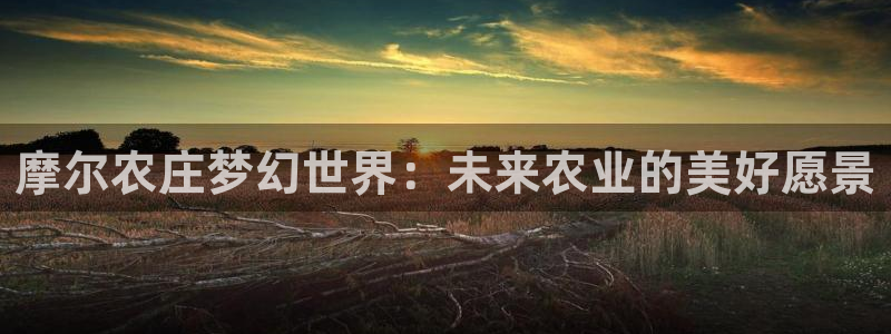 琳琅作者娱乐圈女主