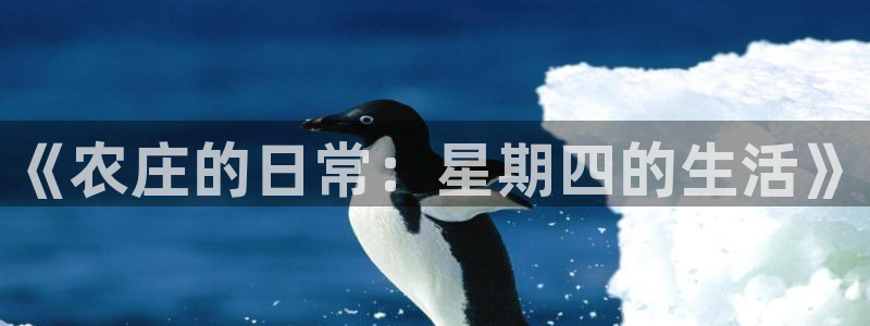 琳琅娱乐怎么样知乎